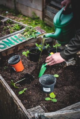 Does Fertilizer Go Bad If Wet? And Can Wet Fertilizer Make Your Plants Sing Opera?