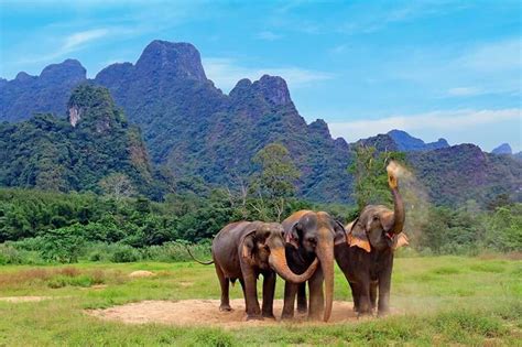  Elephant Hills: A Journey Through Timeless Thailand  - Where Serene Landscapes Intertwine With Soulful Encounters