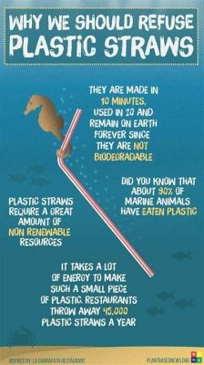 How Long Does It Take for a Plastic Straw to Decompose? And Why Do Turtles Always Seem to Get the Short End of the Straw?