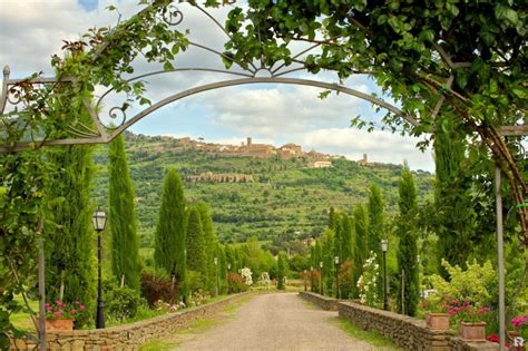  「Under the Tuscan Sun」: あなたの心を陽気に染め上げるイタリア旅行記